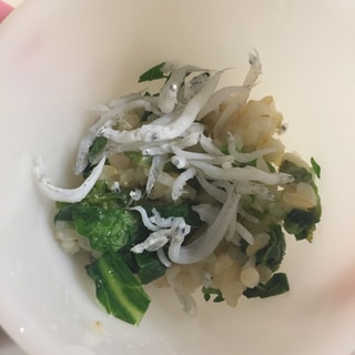 新玉ねぎとレタスとシラスチャーハン！